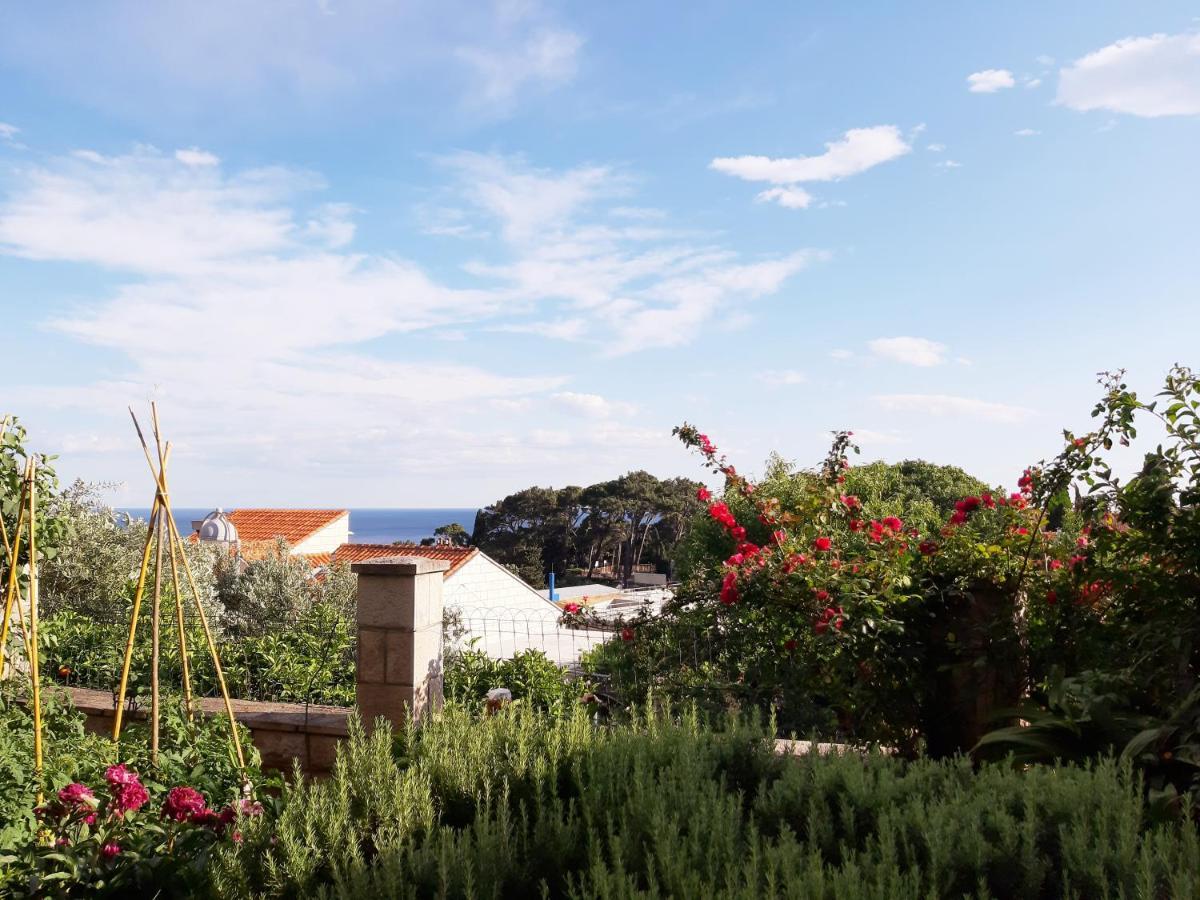 Apartments Deranja Dubrovnik Eksteriør bilde